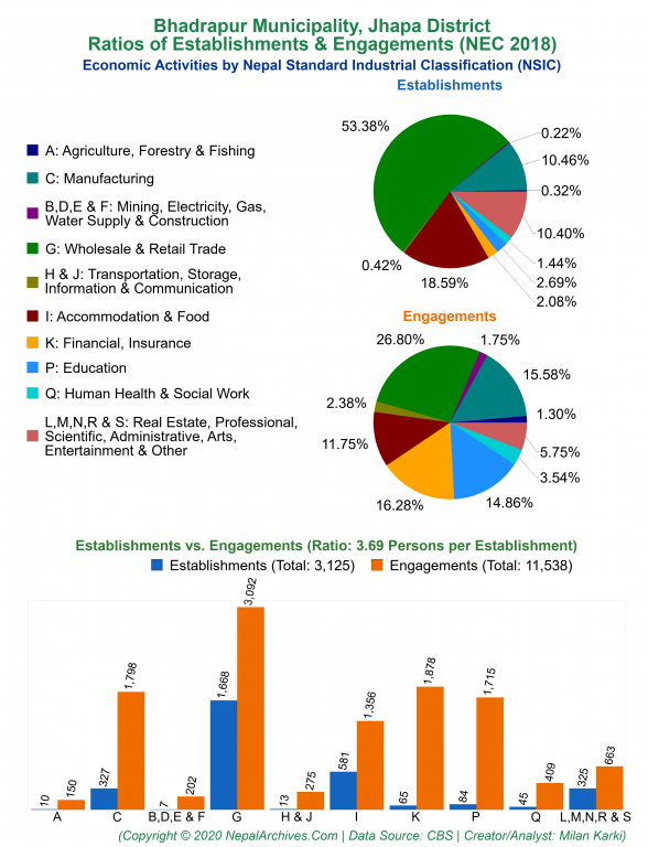 Economic Activities by NSIC Charts of Bhadrapur Municipality
