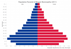 Population Pyramid of Bhajani Municipality, Kailali District (2011 Census)