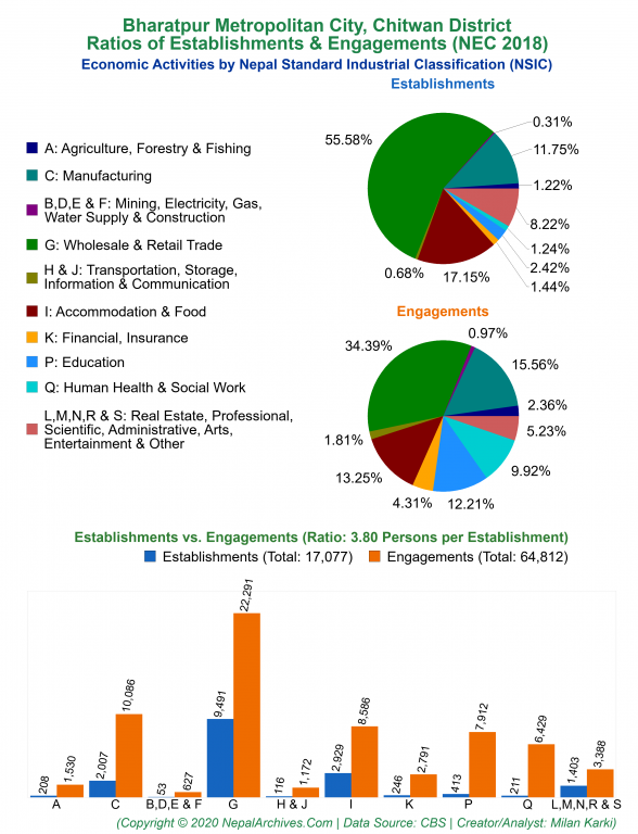 Economic Activities by NSIC Charts of Bharatpur Metropolitan City