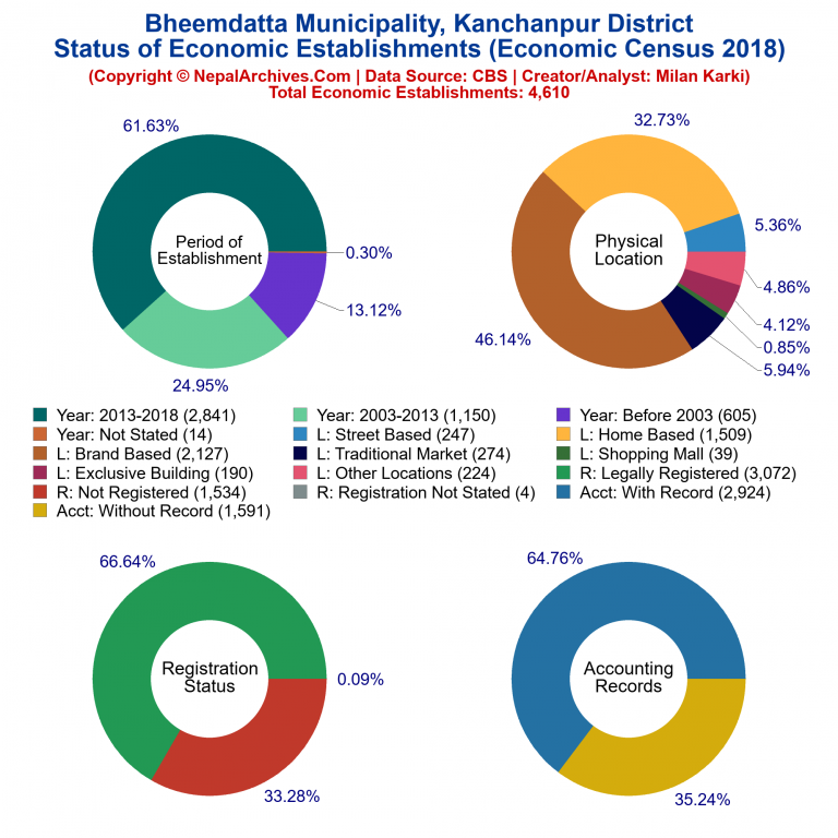 NEC 2018 Economic Establishments Charts of Bheemdatta Municipality