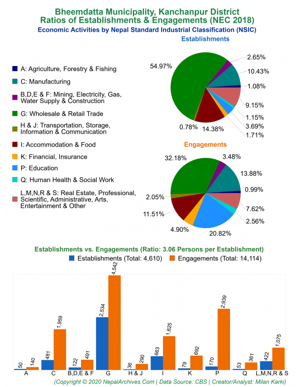 Economic Activities by NSIC Charts of Bheemdatta Municipality