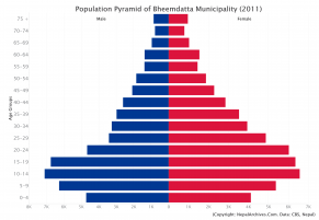 Population Pyramid of Bheemdatta Municipality, Kanchanpur District (2011 Census)