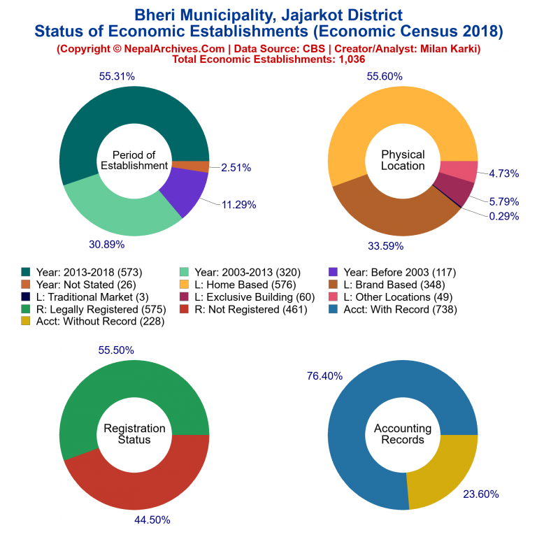 NEC 2018 Economic Establishments Charts of Bheri Municipality