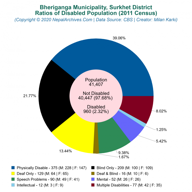 Disabled Population Charts of Bheriganga Municipality