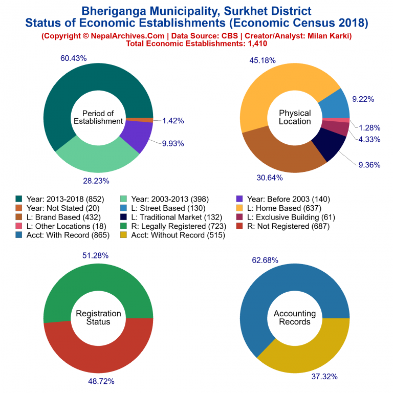 NEC 2018 Economic Establishments Charts of Bheriganga Municipality