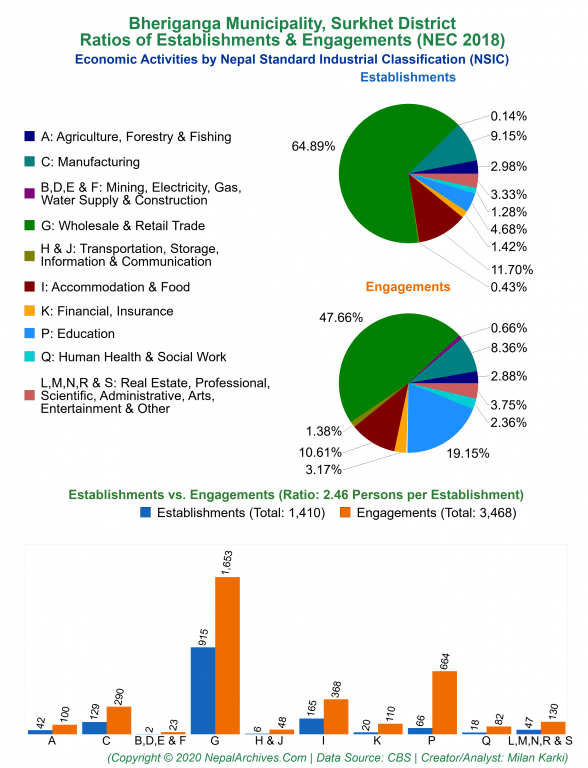 Economic Activities by NSIC Charts of Bheriganga Municipality