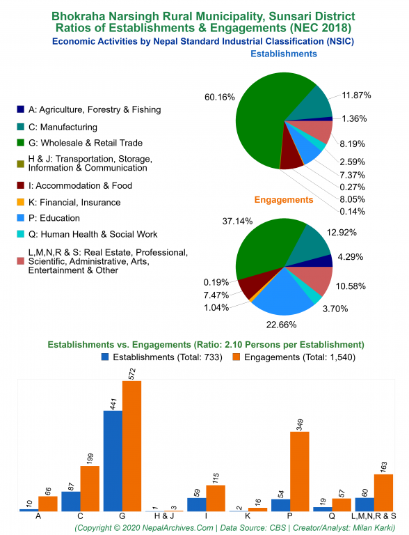 Economic Activities by NSIC Charts of Bhokraha Narsingh Rural Municipality