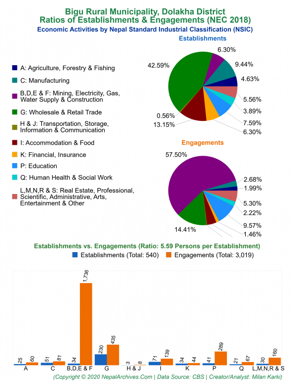Economic Activities by NSIC Charts of Bigu Rural Municipality