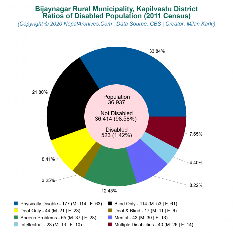 Disabled Population Charts of Bijaynagar Rural Municipality