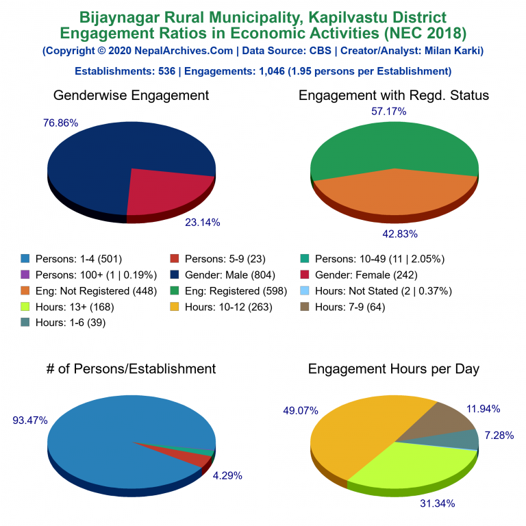NEC 2018 Economic Engagements Charts of Bijaynagar Rural Municipality