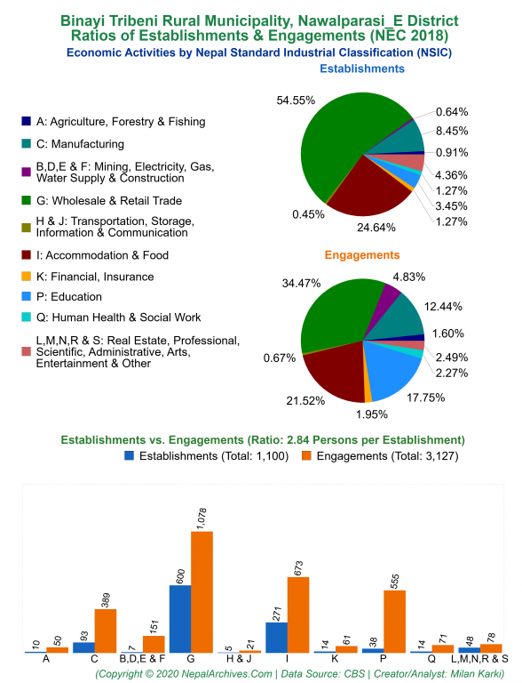 Economic Activities by NSIC Charts of Binayi Tribeni Rural Municipality