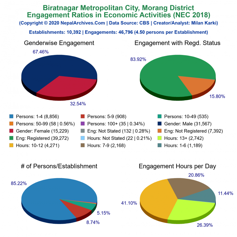 NEC 2018 Economic Engagements Charts of Biratnagar Metropolitan City