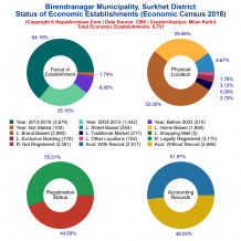 Birendranagar Municipality (Surkhet) | Economic Census 2018