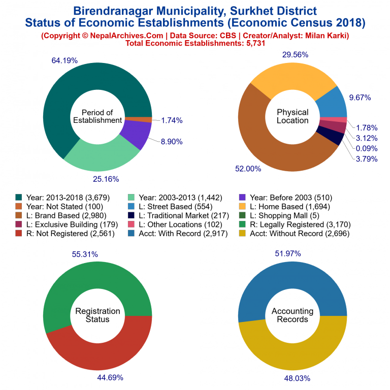 NEC 2018 Economic Establishments Charts of Birendranagar Municipality