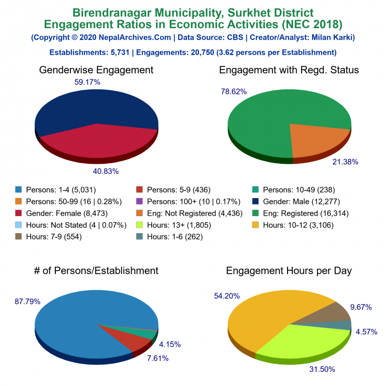 NEC 2018 Economic Engagements Charts of Birendranagar Municipality