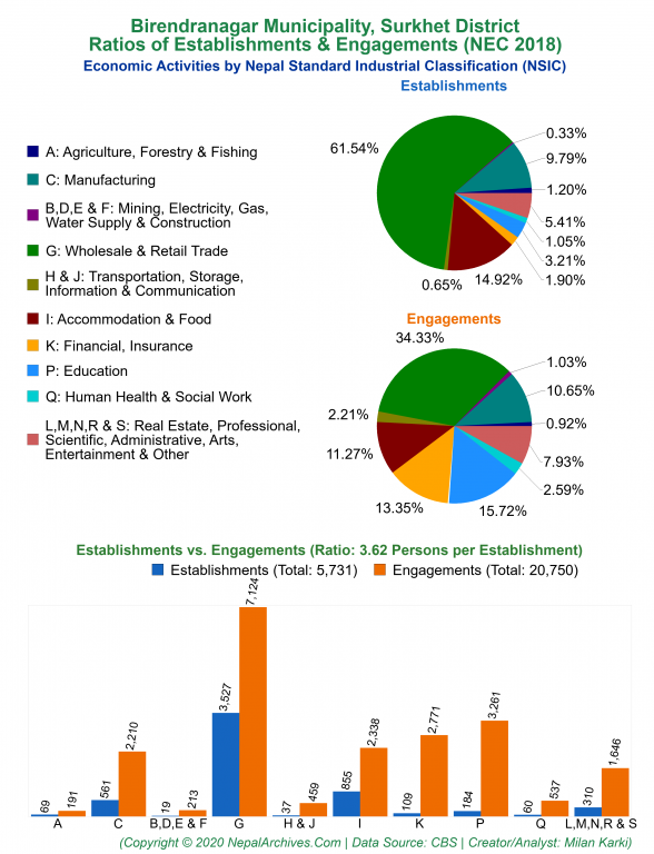 Economic Activities by NSIC Charts of Birendranagar Municipality