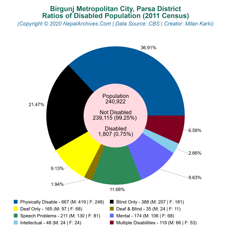 Disabled Population Charts of Birgunj Metropolitan City