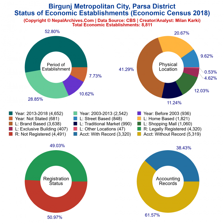 NEC 2018 Economic Establishments Charts of Birgunj Metropolitan City