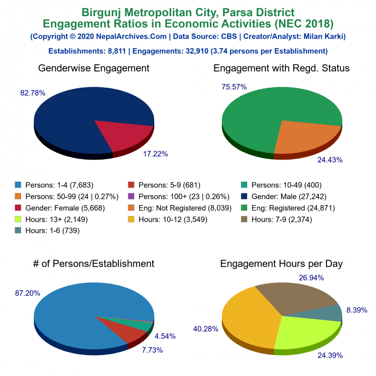 NEC 2018 Economic Engagements Charts of Birgunj Metropolitan City