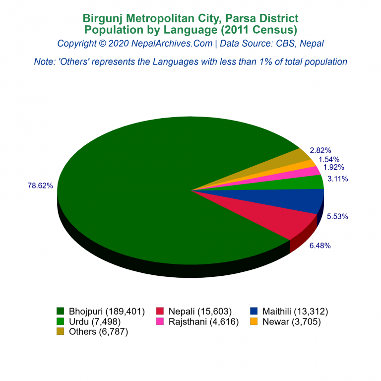 Population by Language Chart of Birgunj Metropolitan City