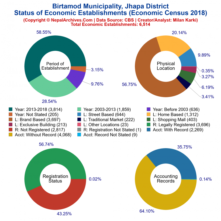 NEC 2018 Economic Establishments Charts of Birtamod Municipality