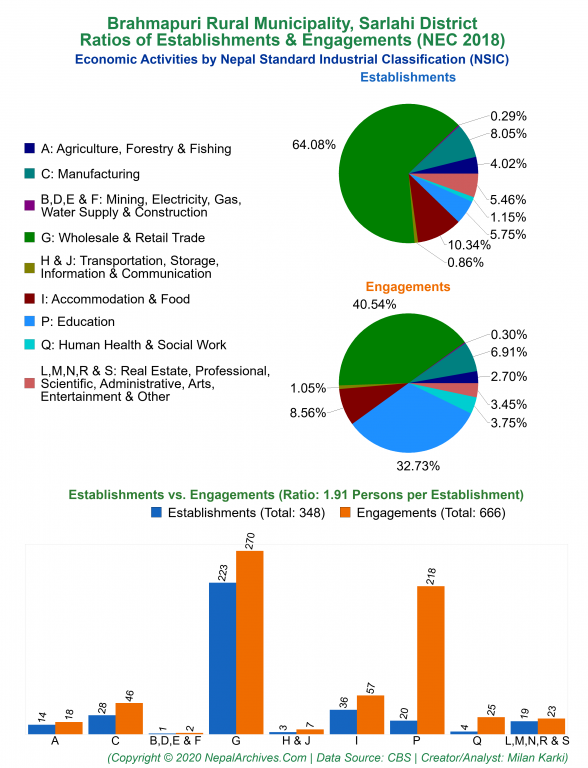 Economic Activities by NSIC Charts of Brahmapuri Rural Municipality