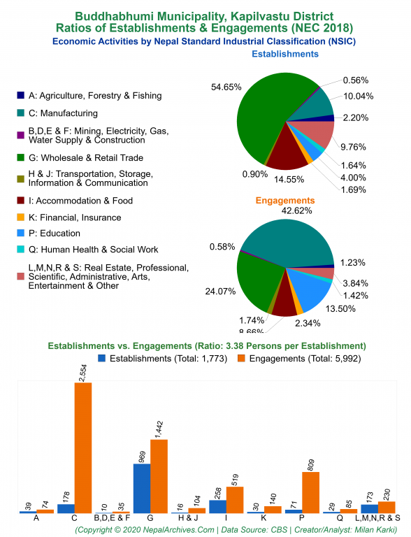 Economic Activities by NSIC Charts of Buddhabhumi Municipality
