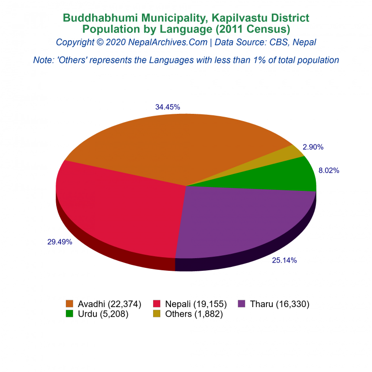 Population by Language Chart of Buddhabhumi Municipality
