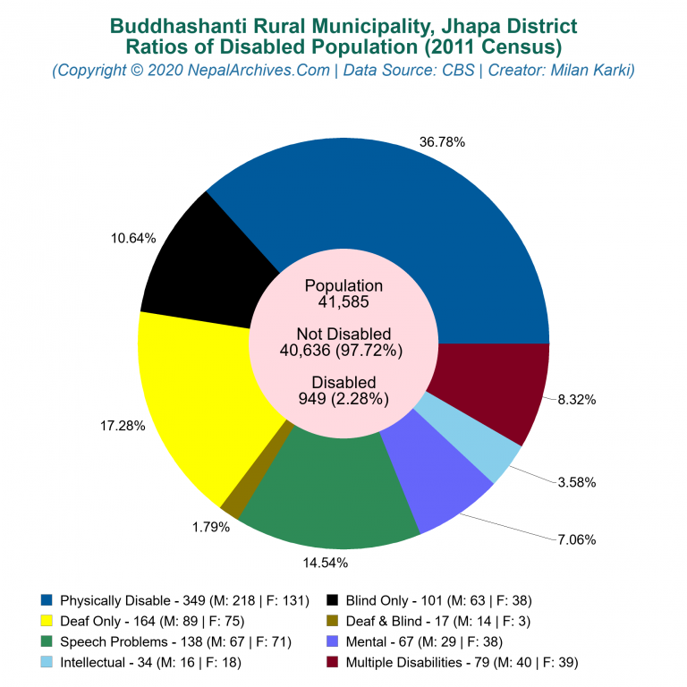 Disabled Population Charts of Buddhashanti Rural Municipality