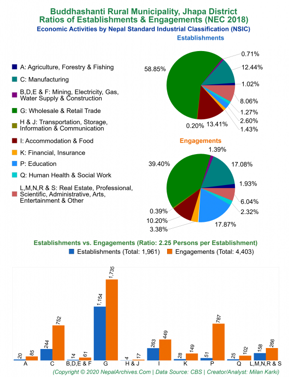 Economic Activities by NSIC Charts of Buddhashanti Rural Municipality