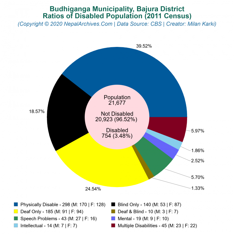 Disabled Population Charts of Budhiganga Municipality