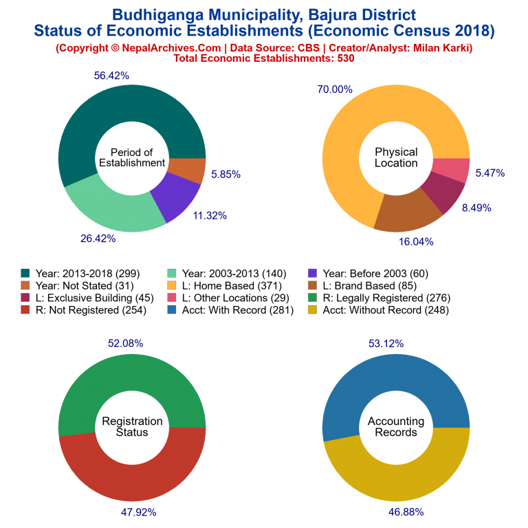 NEC 2018 Economic Establishments Charts of Budhiganga Municipality