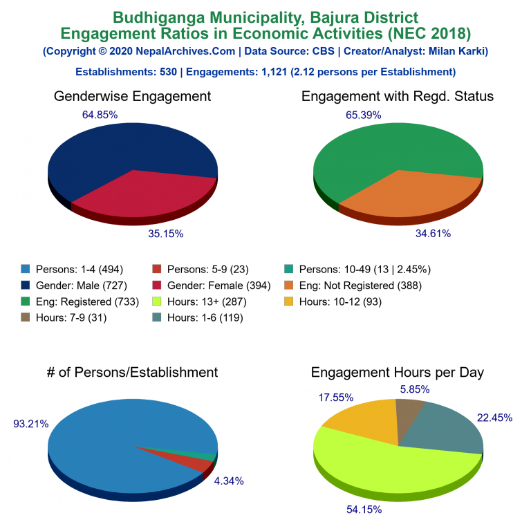 NEC 2018 Economic Engagements Charts of Budhiganga Municipality