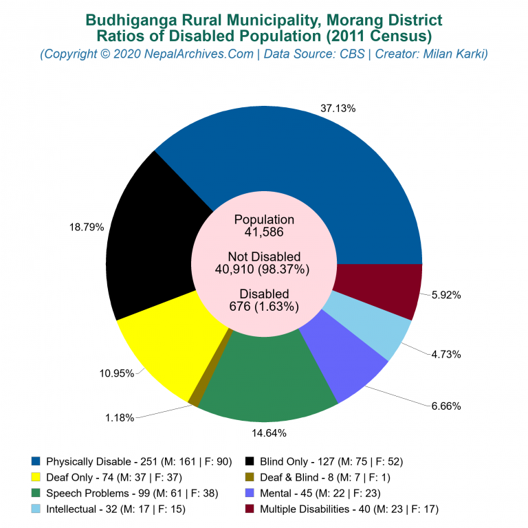Disabled Population Charts of Budhiganga Rural Municipality