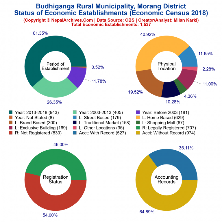 NEC 2018 Economic Establishments Charts of Budhiganga Rural Municipality
