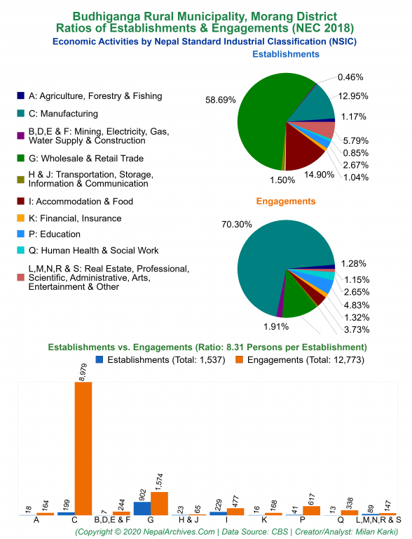 Economic Activities by NSIC Charts of Budhiganga Rural Municipality