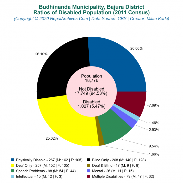 Disabled Population Charts of Budhinanda Municipality