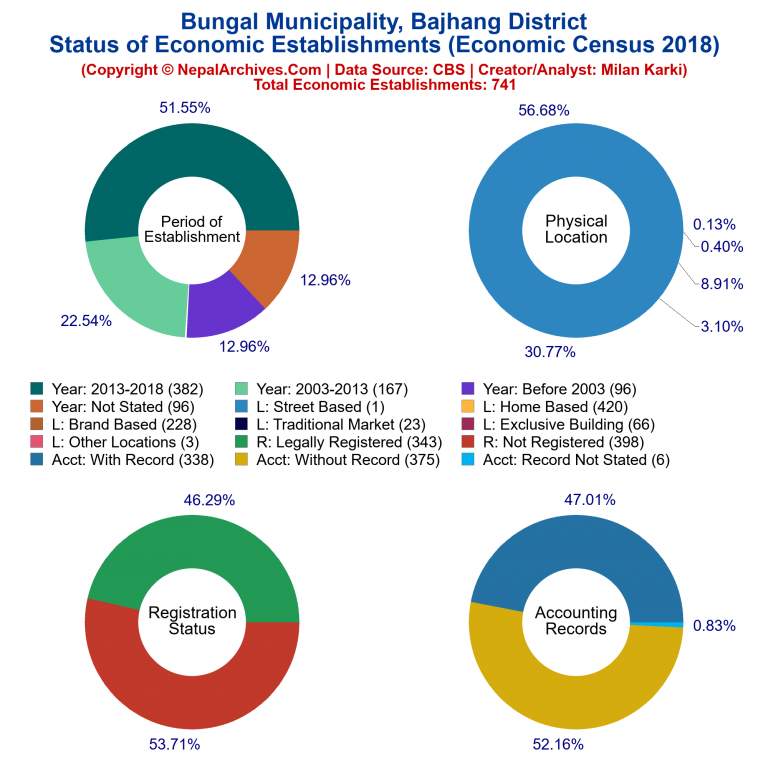 NEC 2018 Economic Establishments Charts of Bungal Municipality