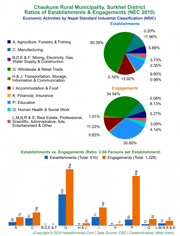 Economic Activities by NSIC Charts of Chaukune Rural Municipality