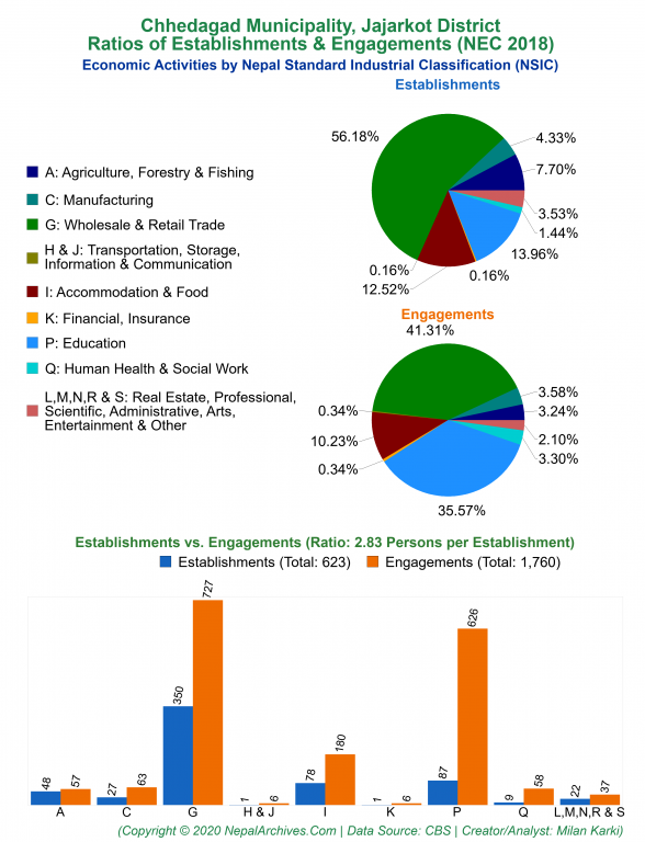 Economic Activities by NSIC Charts of Chhedagad Municipality