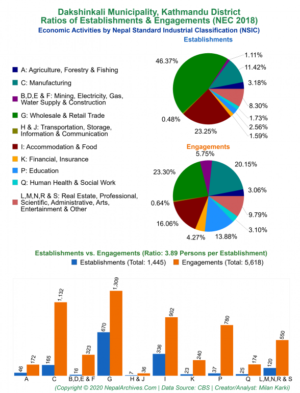 Economic Activities by NSIC Charts of Dakshinkali Municipality