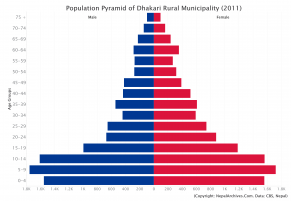 Population Pyramid of Dhakari Rural Municipality, Achham District (2011 Census)