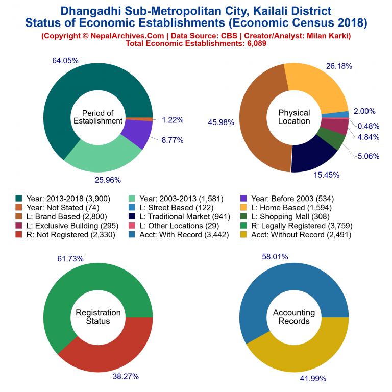 NEC 2018 Economic Establishments Charts of Dhangadhi Sub-Metropolitan City