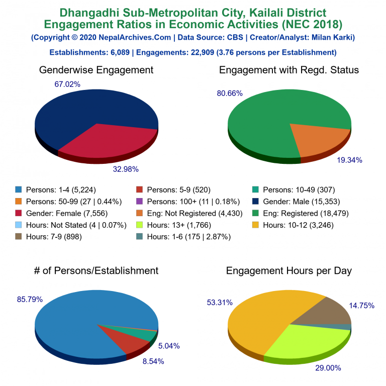 NEC 2018 Economic Engagements Charts of Dhangadhi Sub-Metropolitan City