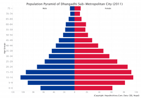 Population Pyramid of Dhangadhi Sub-Metropolitan City, Kailali District (2011 Census)