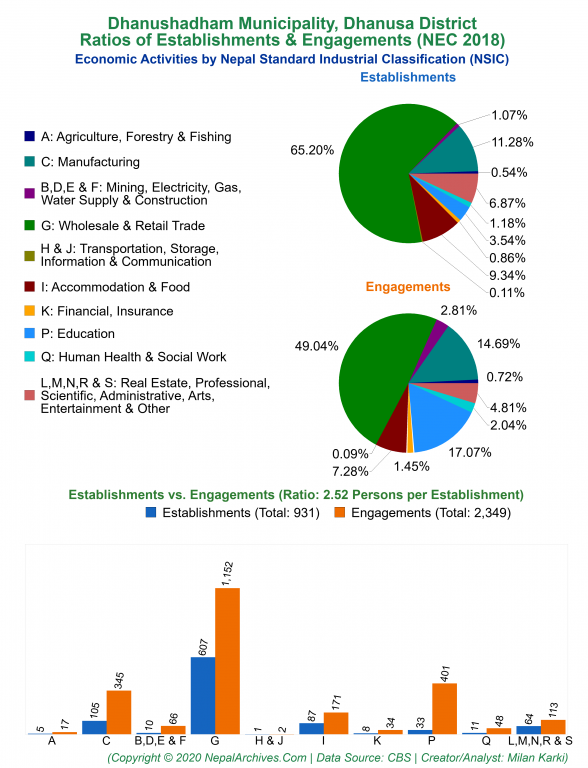Economic Activities by NSIC Charts of Dhanushadham Municipality