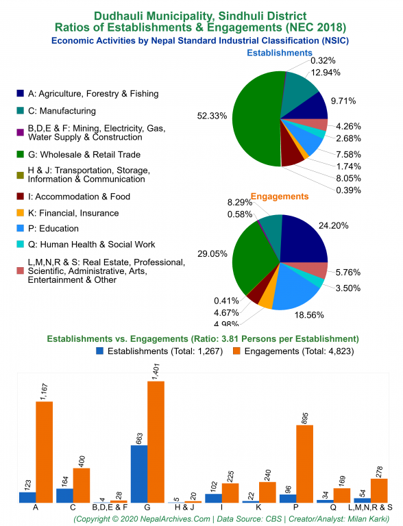 Economic Activities by NSIC Charts of Dudhauli Municipality