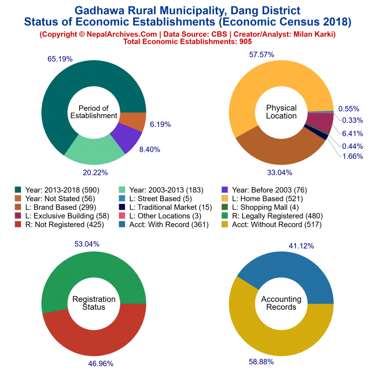 NEC 2018 Economic Establishments Charts of Gadhawa Rural Municipality