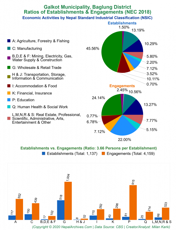 Economic Activities by NSIC Charts of Galkot Municipality
