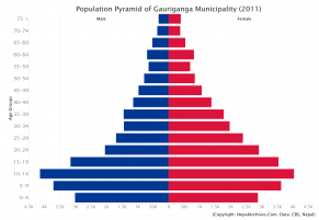 Population Pyramid of Gauriganga Municipality, Kailali District (2011 Census)